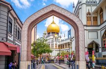  Private Singapore Tour: Bus and Car Transportation