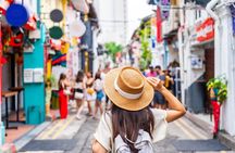 Private Singapore Tour: Bus and Car Transportation