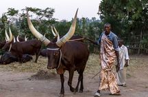 1 Full Day Culture & Heritage Experience (Nyanza & Butare)
