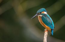 Hua Hin Kaeng Krachan National Park and Boat Tour with Transfer