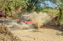 Buggy in Punta Cana Unforgettable All Terrain Adventure