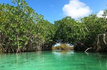  Sian Ka'an Biosphere Reserve Guided Tour