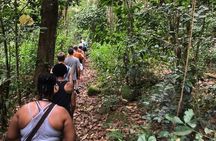 Mount Liamuiga Volcano Hike St Kitts Highest peak
