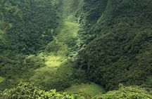 Mount Liamuiga Volcano Hike St Kitts Highest peak