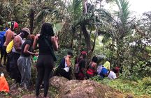 Mount Liamuiga Volcano Hike St Kitts Highest peak