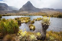 Chingaza National Park: Private Tour with Guide and Transport