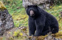 Chingaza National Park: Private Tour with Guide and Transport