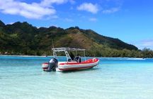 Private excursion Half day Moorea Discovery of the lagoon