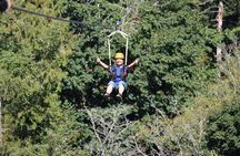 The Big Zip Experience