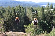 The Big Zip Experience