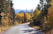 Wildlife and Iconic Roads: The Black Sheep Tour