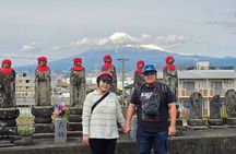 Mount Fuji E-Bike Tour: Explore Nature and History