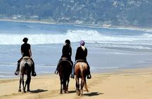 Horseback Ride & Alcatraz Prison Tickets 