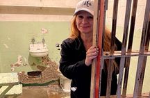 Horseback Ride & Alcatraz Prison Tickets 