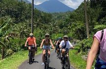 Bali Downhill Cycling Kintamani to Ubud with Private Transfer