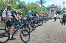 Bali Downhill Cycling Kintamani to Ubud with Private Transfer
