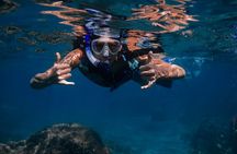 First Timers and Non-Swimmers Snorkeling Experience in Wailea 