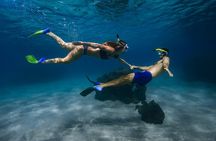 First Timers Non-Swimmers Snorkeling Experience: Turtle Guarantee