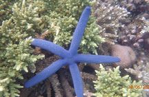 Gili Nanggu, Sudak and Kedis Island Snorkeling Tour