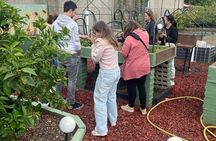 Traditional Cooking Class in Dubrovnik Countryside