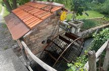 Traditional Cooking Class in Dubrovnik Countryside
