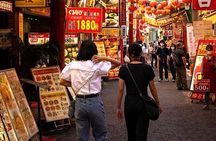  Multiple 4 day tour Tokyo Fuji Nikko Kamakura Private Tour