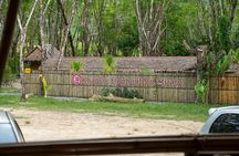 Khao Lak Ethical Elephant Sanctuary Conservation Experience