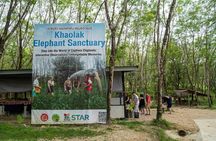 Evening Guide Tour to Khaolak Elephant Sanctuary Free 1 Cocktail