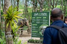 Guide Tour to Khaolak Elephant Sanctuary in Small Group