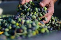 Kefalonia Private Tour with Honey Olive Oil and Wine