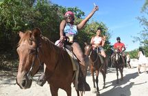 Amazing horse ride tour in Punta Cana beach! 