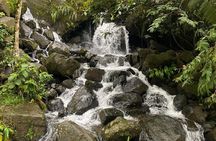 Pance Trail: Experience Waterfalls, Wildlife, and Scenic Views