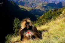 "15-Day Northern Ethiopia: A Journey Through Time"