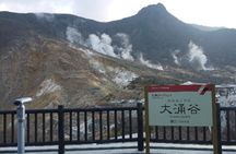 Hakone’s Best Hot Springs with Lake Ashi Cruise from Tokyo