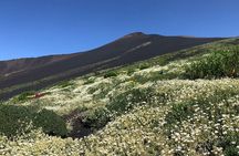 Etna Smart Trekking - Low Cost excursion in the Etna park