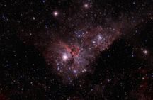 Astronomical Observation Tour in the Atacama Desert