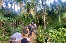 Monkey Mountain Hiking tour
