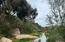 Half day at Sidi Mbark Waterfalls, Lunch and Culture