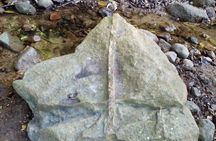 Wixárika Sacred Ritual: Purify your spirit in nature
