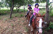 Half Day Private Guanacaste Horseback and Farm Tour