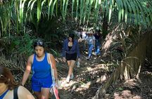 Sunset Hike to a secluded Beach + Mexican snack 