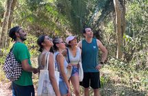 Hike to Monkey Mountain (Transportation & fresh coconut Included)