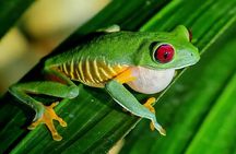 Explore and Learn in Manuel Antonio with a guided tour