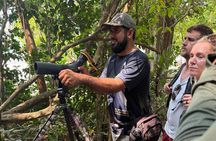 Explore and Learn in Manuel Antonio with a guided tour