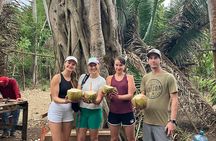 Monkey Mountain Hiking Tour (Includes food and fresh coconut)