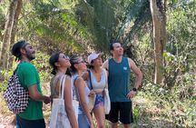 Monkey Mountain Hiking Tour (Includes food and fresh coconut)