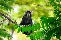  From Arusha: Safari 1 Day Trip to Arusha National Park 