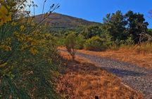 Naples E Bike Tour on Mount Vesuvius with a Cycling Guide