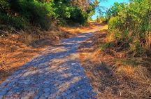 Naples E Bike Tour on Mount Vesuvius with a Cycling Guide