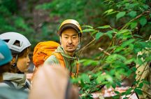 Sawanobori River Trekking Tour